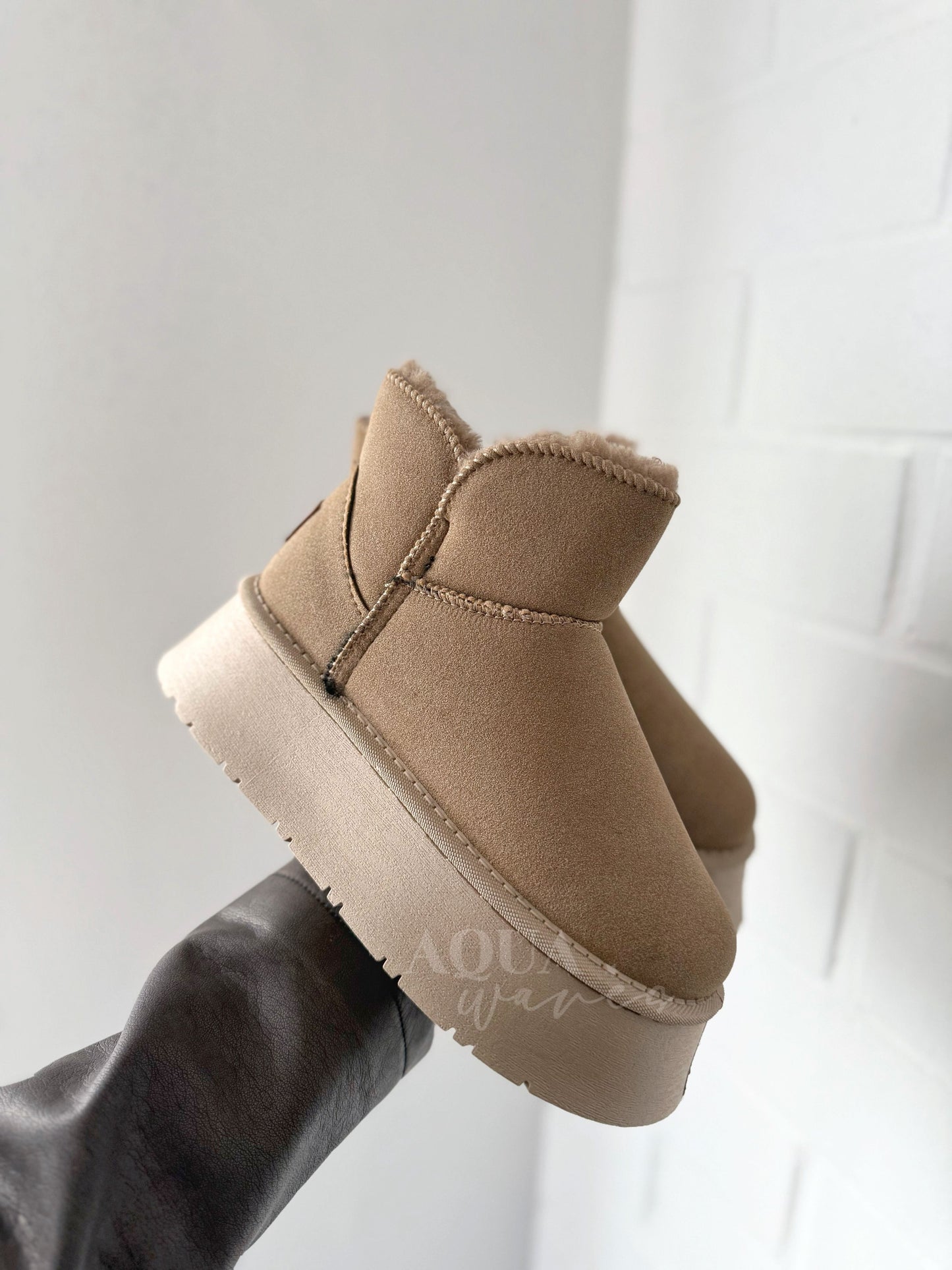 PANTUBOTA CAQUI